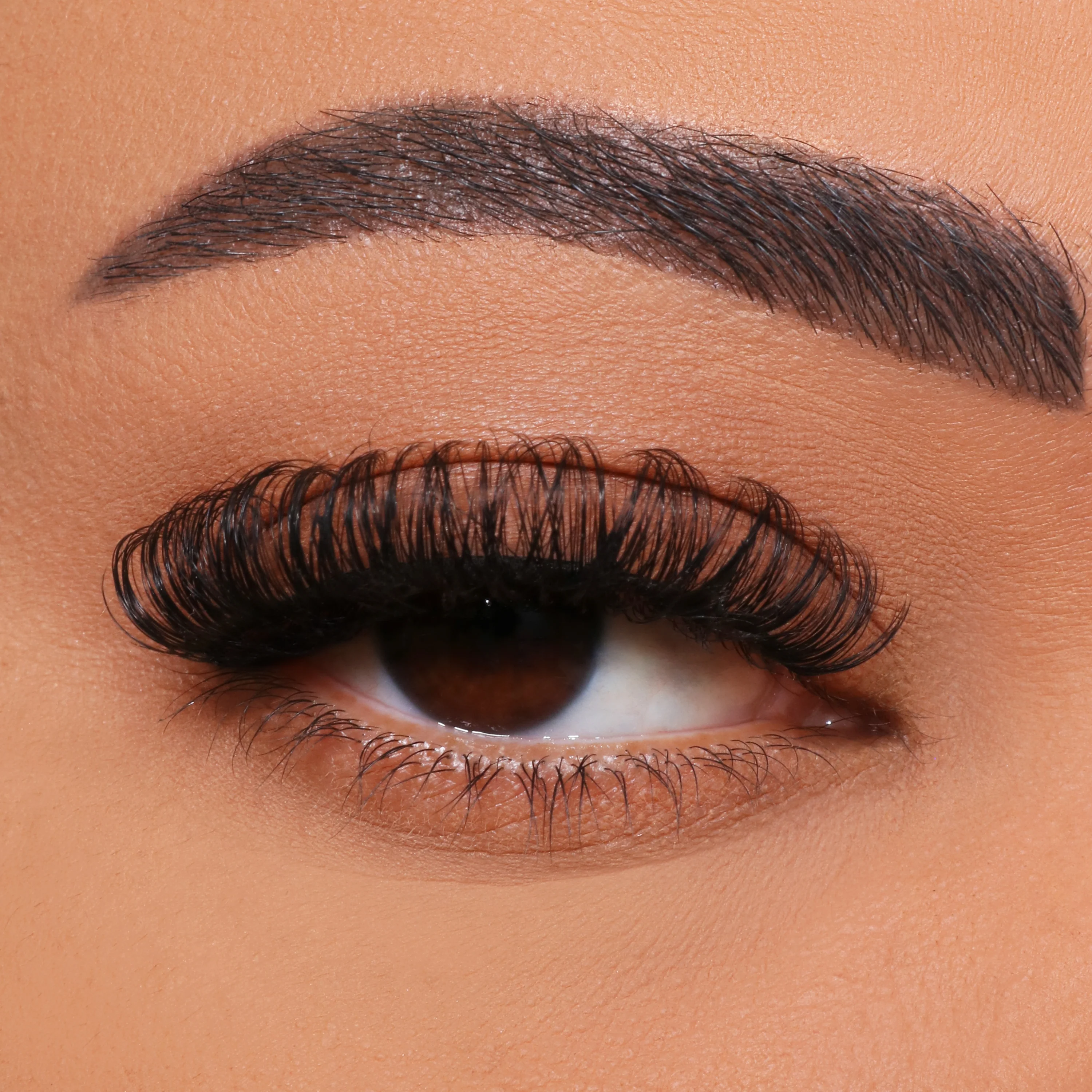 Wie kann man DIY-Multi-Blumen-Wimperntransplantation?